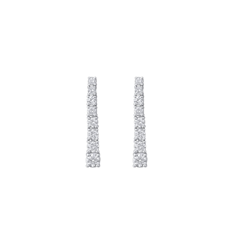 DEGRADEE DROP EARRING